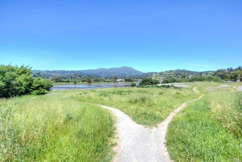 7 Eucalyptus Knoll Street Mill Valley CA 94941