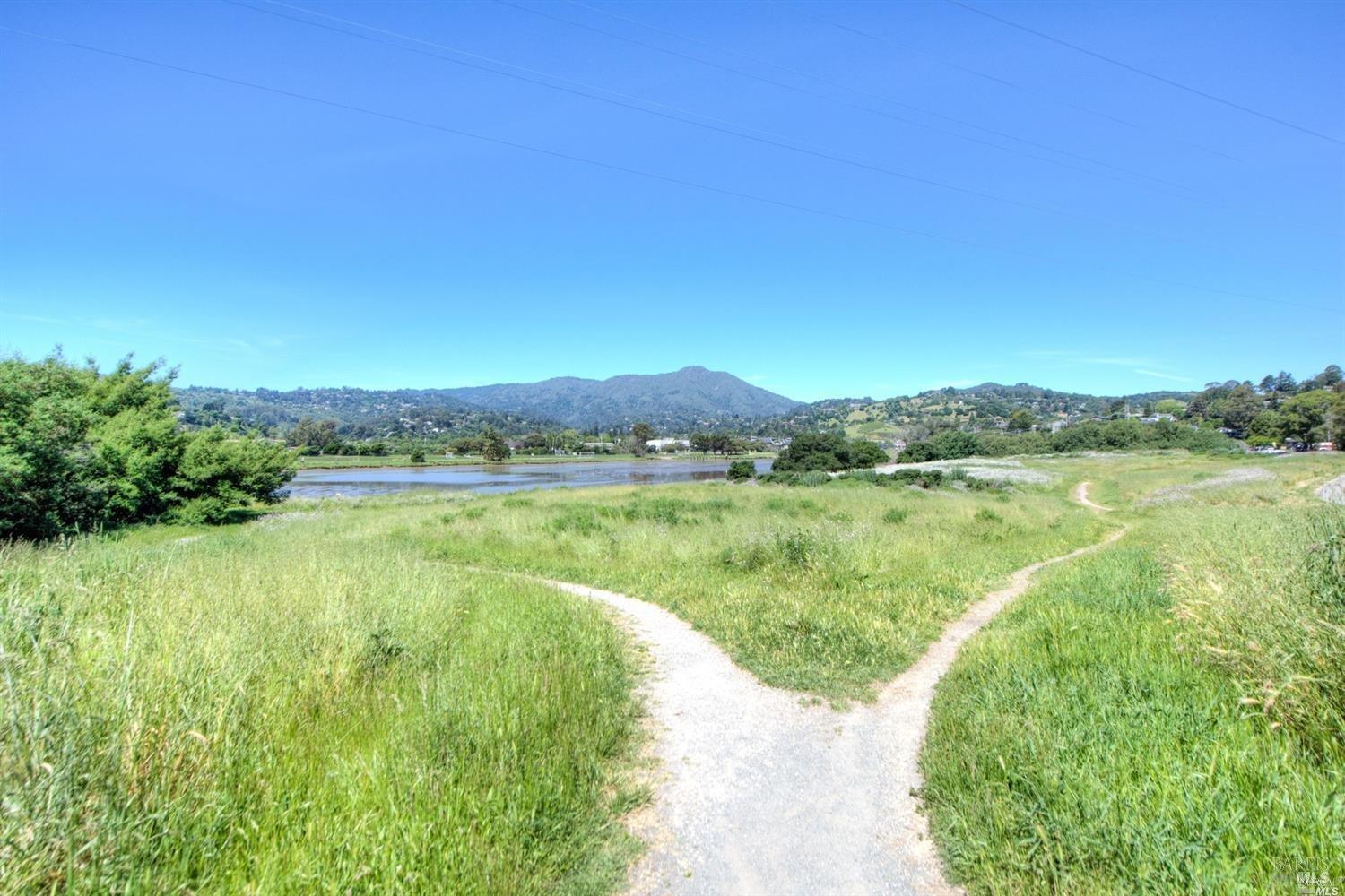 7 Eucalyptus Knoll Street Mill Valley CA 94941