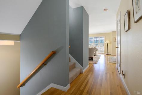 7 Eucalyptus Knoll Street Mill Valley CA 94941
