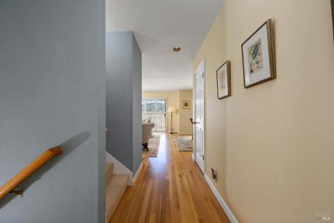 7 Eucalyptus Knoll Street Mill Valley CA 94941