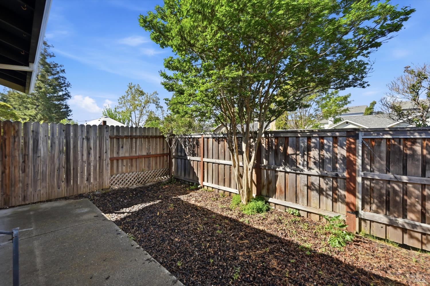 786 William Court Napa CA 94558