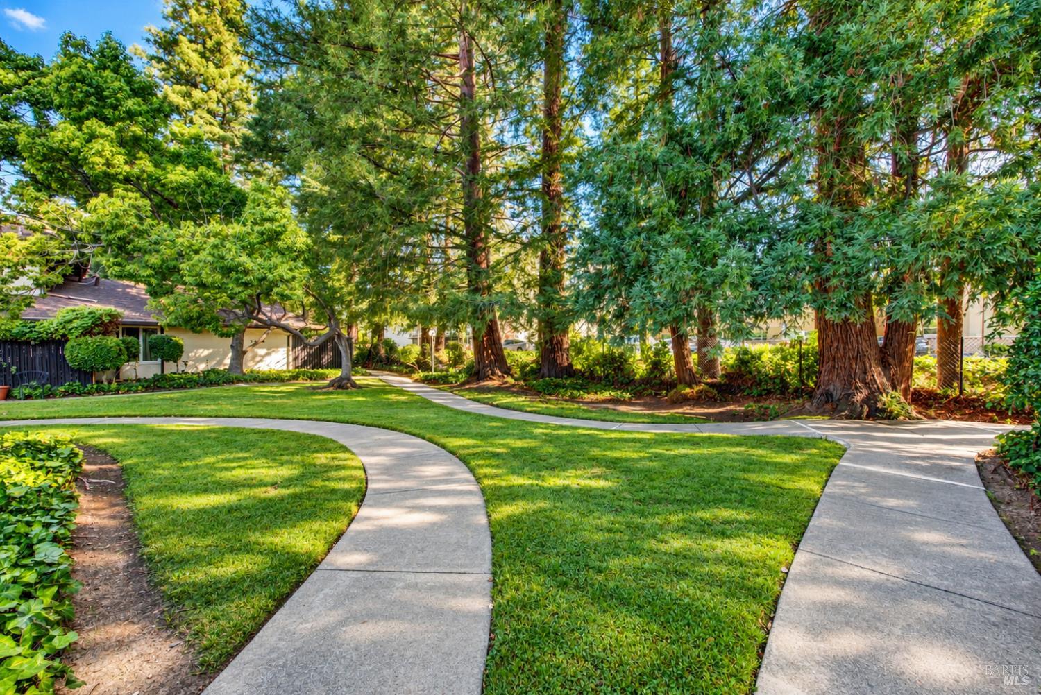 3472 Willis Drive Napa CA 94558