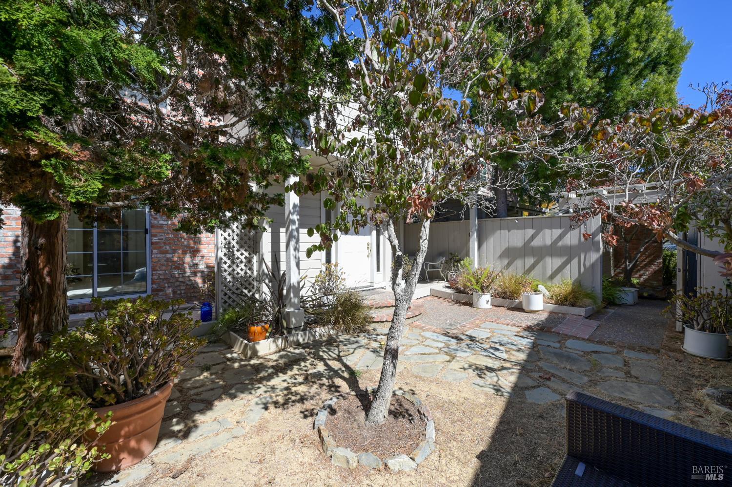 557 Biscayne Drive San Rafael CA 94901