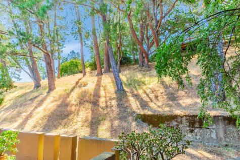 94 Forest Lane San Rafael CA 94903