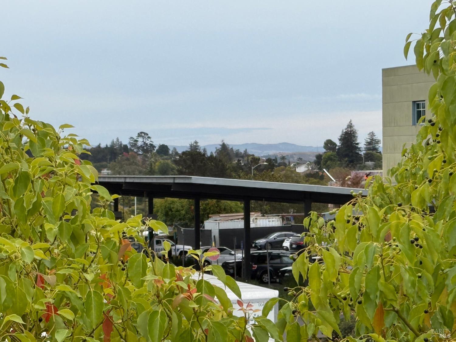 1455 N Camino Alto Vallejo CA 94589
