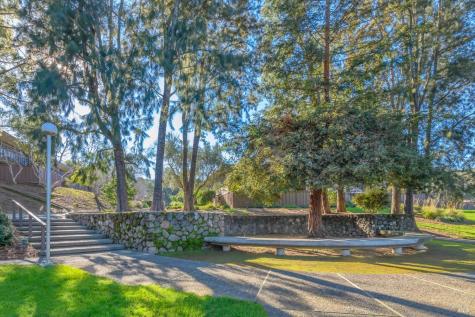 29 Forest Lane San Rafael CA 94903
