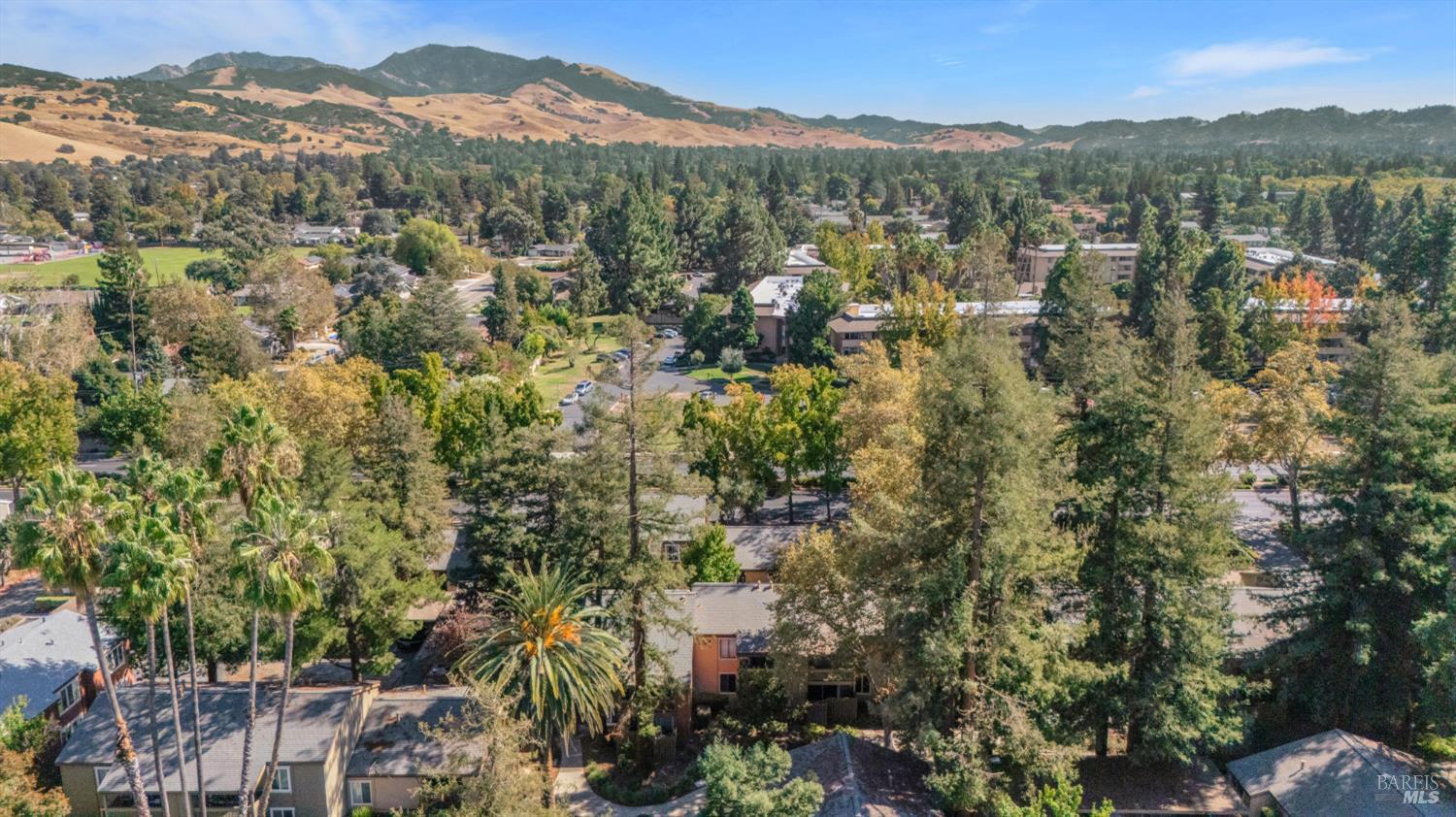 3051 Treat Boulevard Concord CA 94518