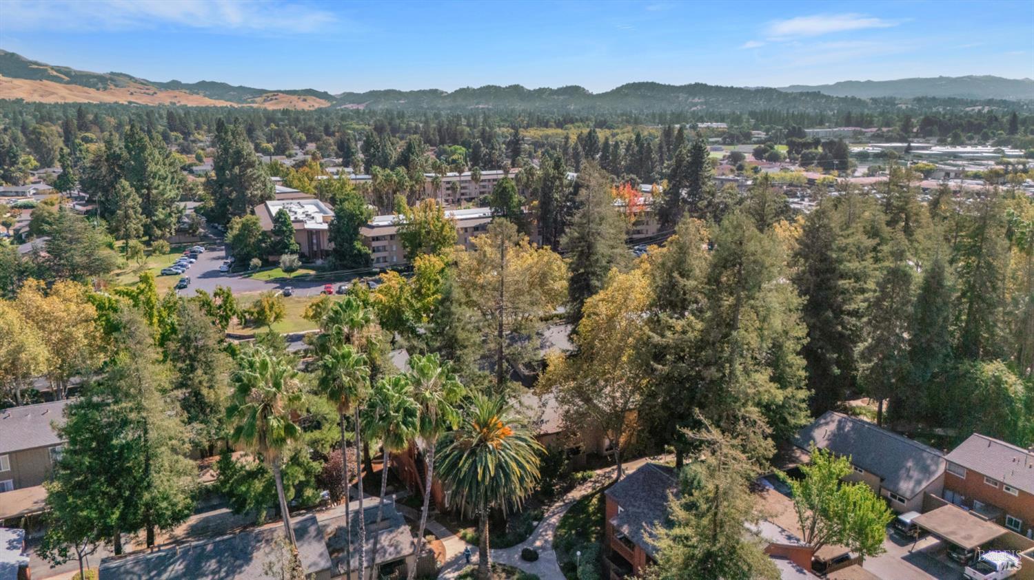 3051 Treat Boulevard Concord CA 94518