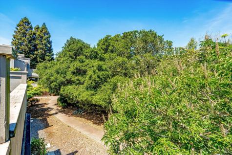 146 Sandpiper Court Novato CA 94949