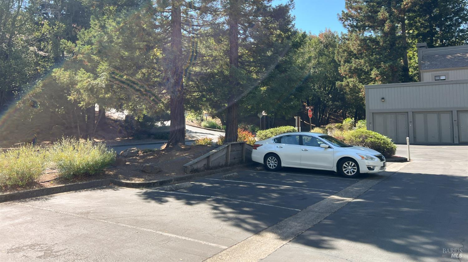 101 Quail Court Novato CA 94949