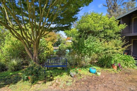 1411 Casa Buena Drive Corte Madera CA 94925