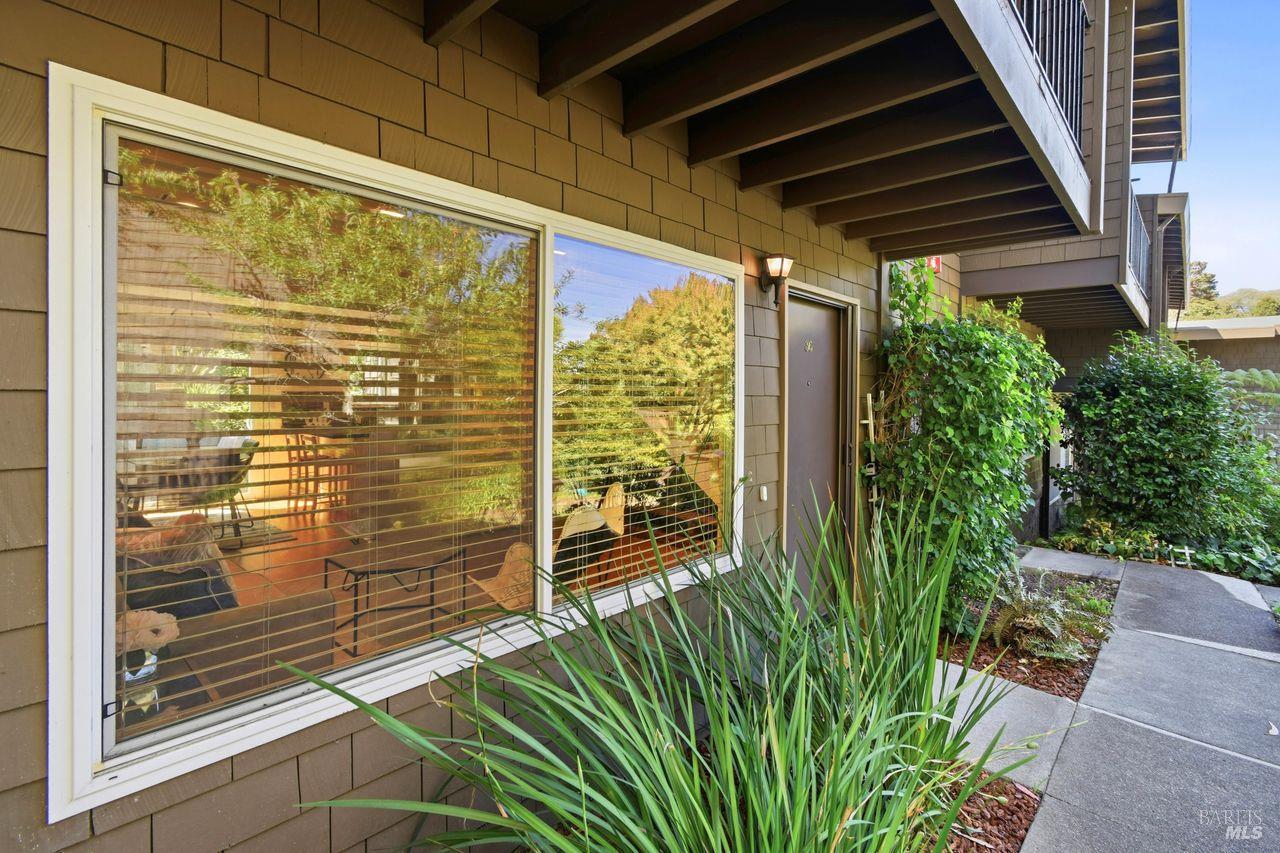 1411 Casa Buena Drive Corte Madera CA 94925