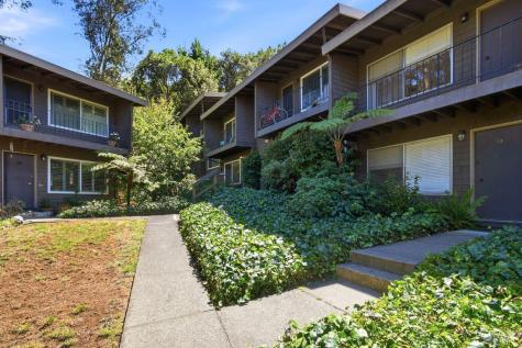 1411 Casa Buena Drive Corte Madera CA 94925