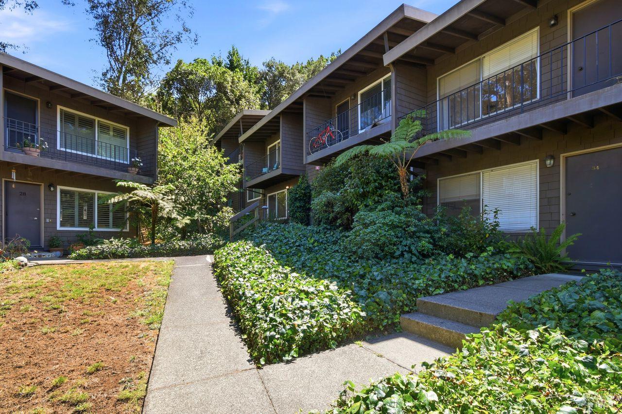 1411 Casa Buena Drive Corte Madera CA 94925