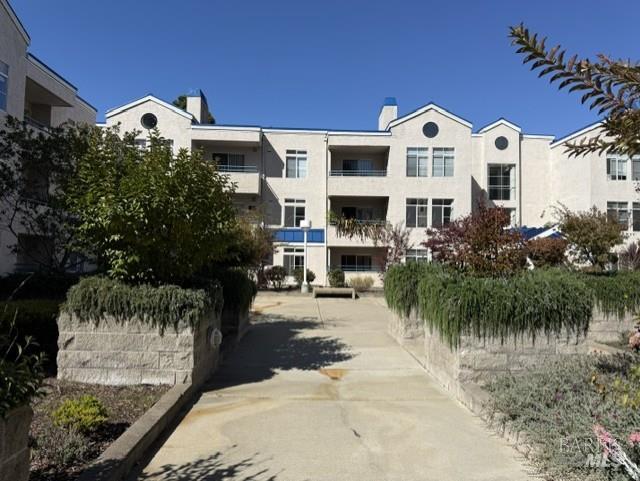 535 Pierce Street Albany CA 94706