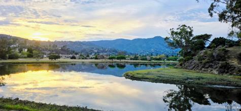 6011 Shelter Bay Avenue Mill Valley CA 94941