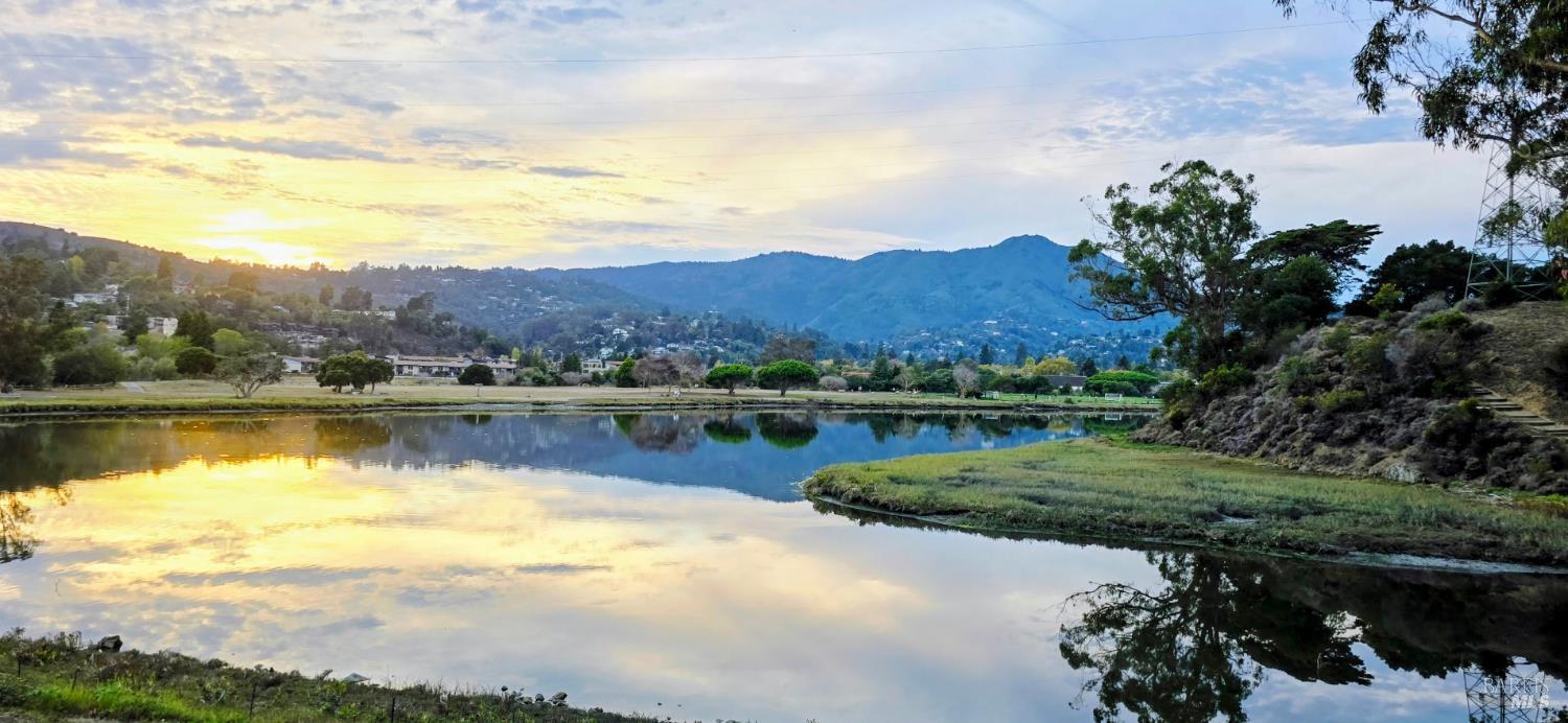 6011 Shelter Bay Avenue Mill Valley CA 94941