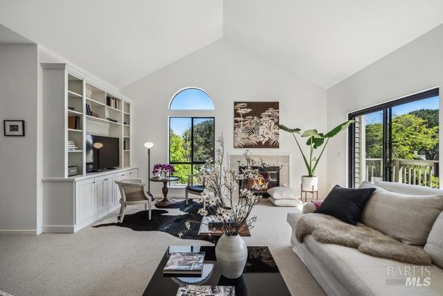 118 Eucalyptus Knoll Street Mill Valley CA 94941