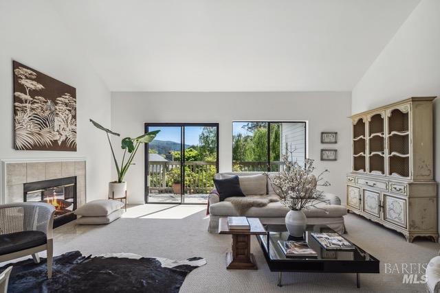 118 Eucalyptus Knoll Street Mill Valley CA 94941