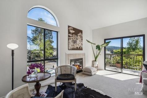 118 Eucalyptus Knoll Street Mill Valley CA 94941