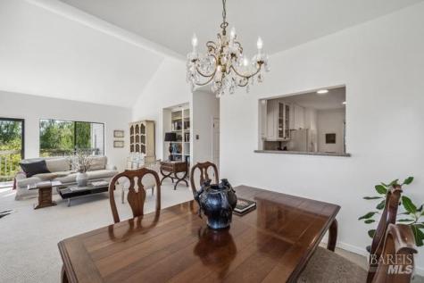 118 Eucalyptus Knoll Street Mill Valley CA 94941