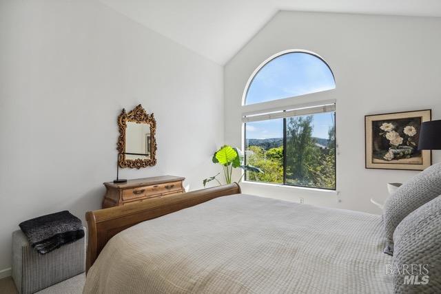 118 Eucalyptus Knoll Street Mill Valley CA 94941
