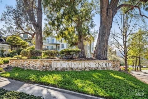 118 Eucalyptus Knoll Street Mill Valley CA 94941