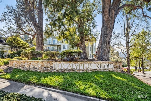 118 Eucalyptus Knoll Street Mill Valley CA 94941