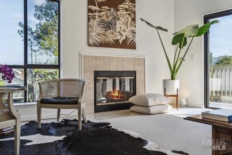 118 Eucalyptus Knoll Street Mill Valley CA 94941