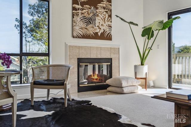 118 Eucalyptus Knoll Street Mill Valley CA 94941