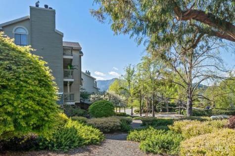 118 Eucalyptus Knoll Street Mill Valley CA 94941