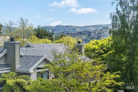 118 Eucalyptus Knoll Street Mill Valley CA 94941