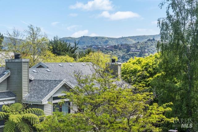 118 Eucalyptus Knoll Street Mill Valley CA 94941