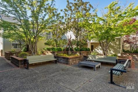 118 Eucalyptus Knoll Street Mill Valley CA 94941