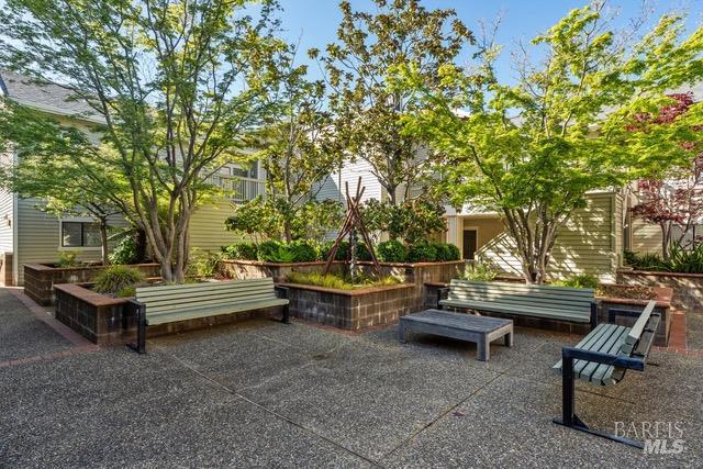 118 Eucalyptus Knoll Street Mill Valley CA 94941