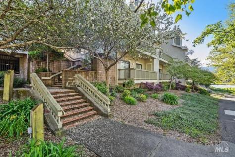 118 Eucalyptus Knoll Street Mill Valley CA 94941