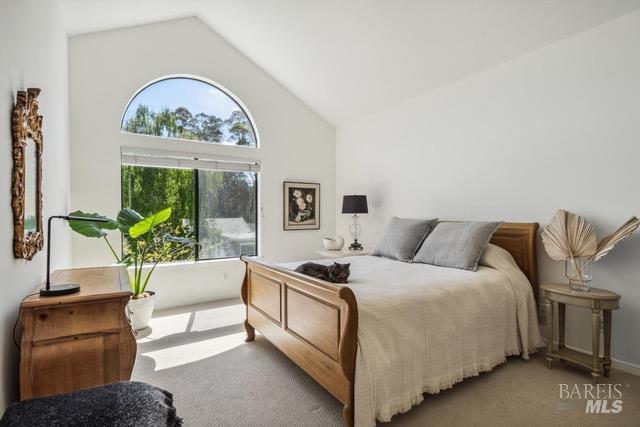 118 Eucalyptus Knoll Street Mill Valley CA 94941