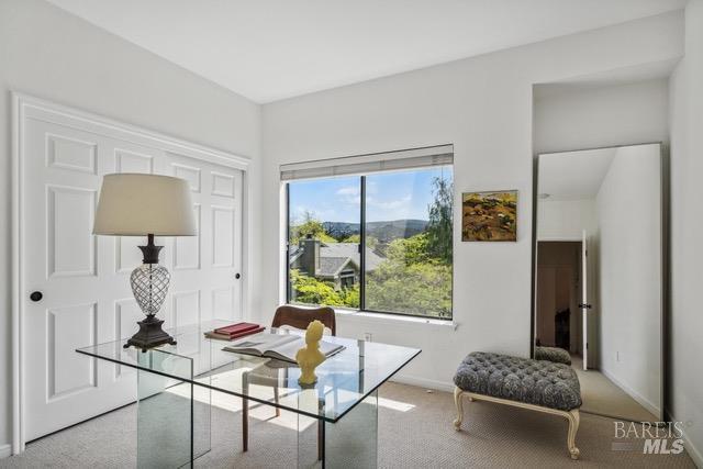 118 Eucalyptus Knoll Street Mill Valley CA 94941