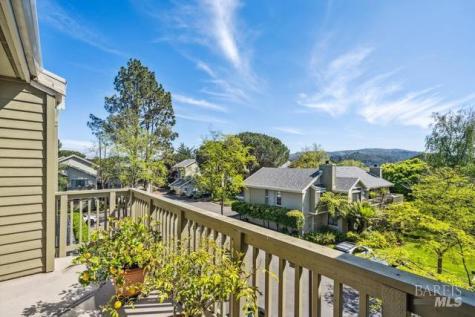 118 Eucalyptus Knoll Street Mill Valley CA 94941