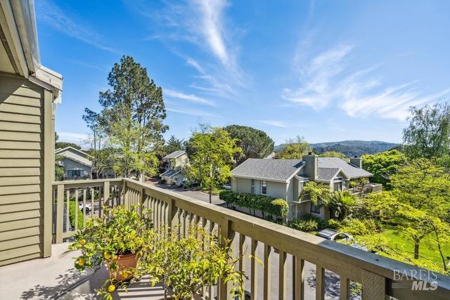 118 Eucalyptus Knoll Street Mill Valley CA 94941