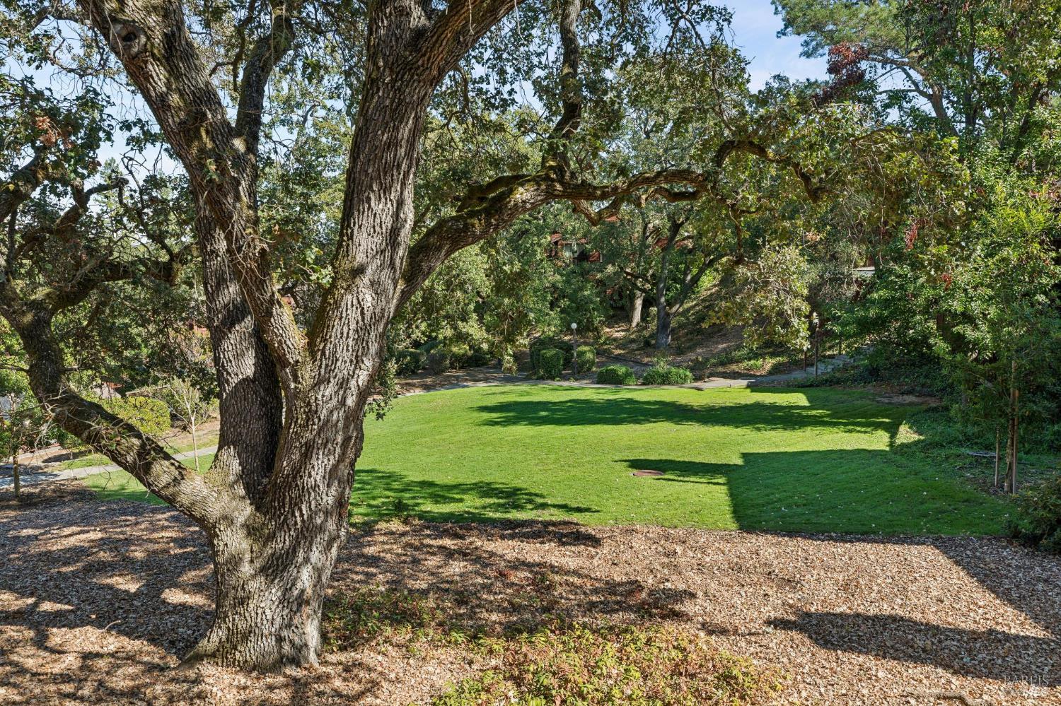 1056 Susan Way Novato CA 94947