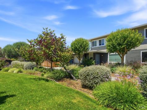 1004-B Los Gamos Road San Rafael CA 94903