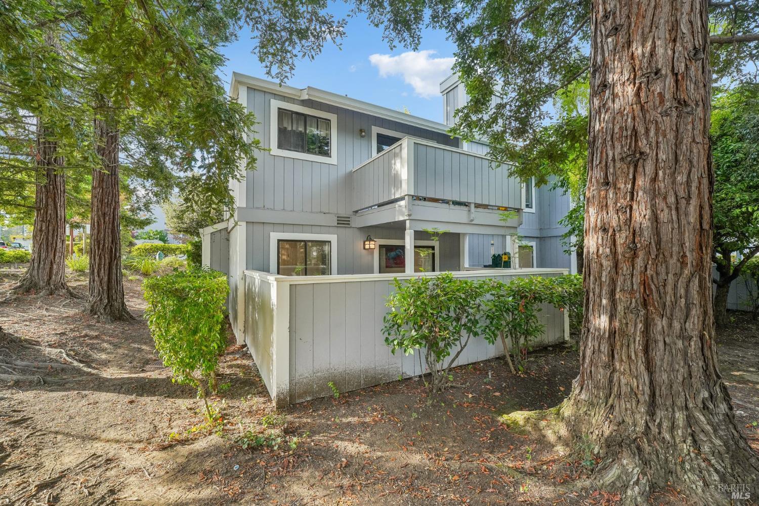 25 Hector Lane Novato CA 94949
