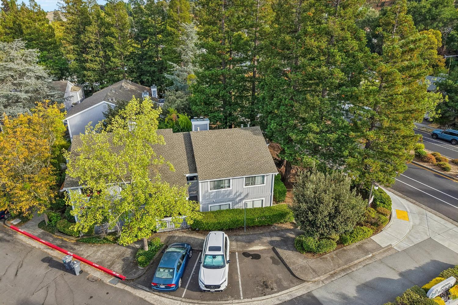 25 Hector Lane Novato CA 94949
