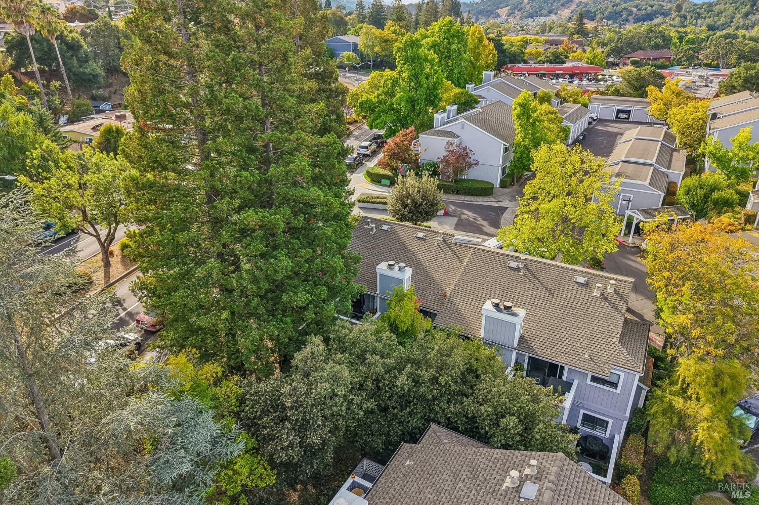 25 Hector Lane Novato CA 94949