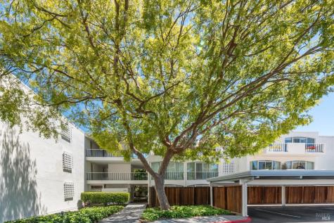 1106 Shelter Bay Avenue Mill Valley CA 94941