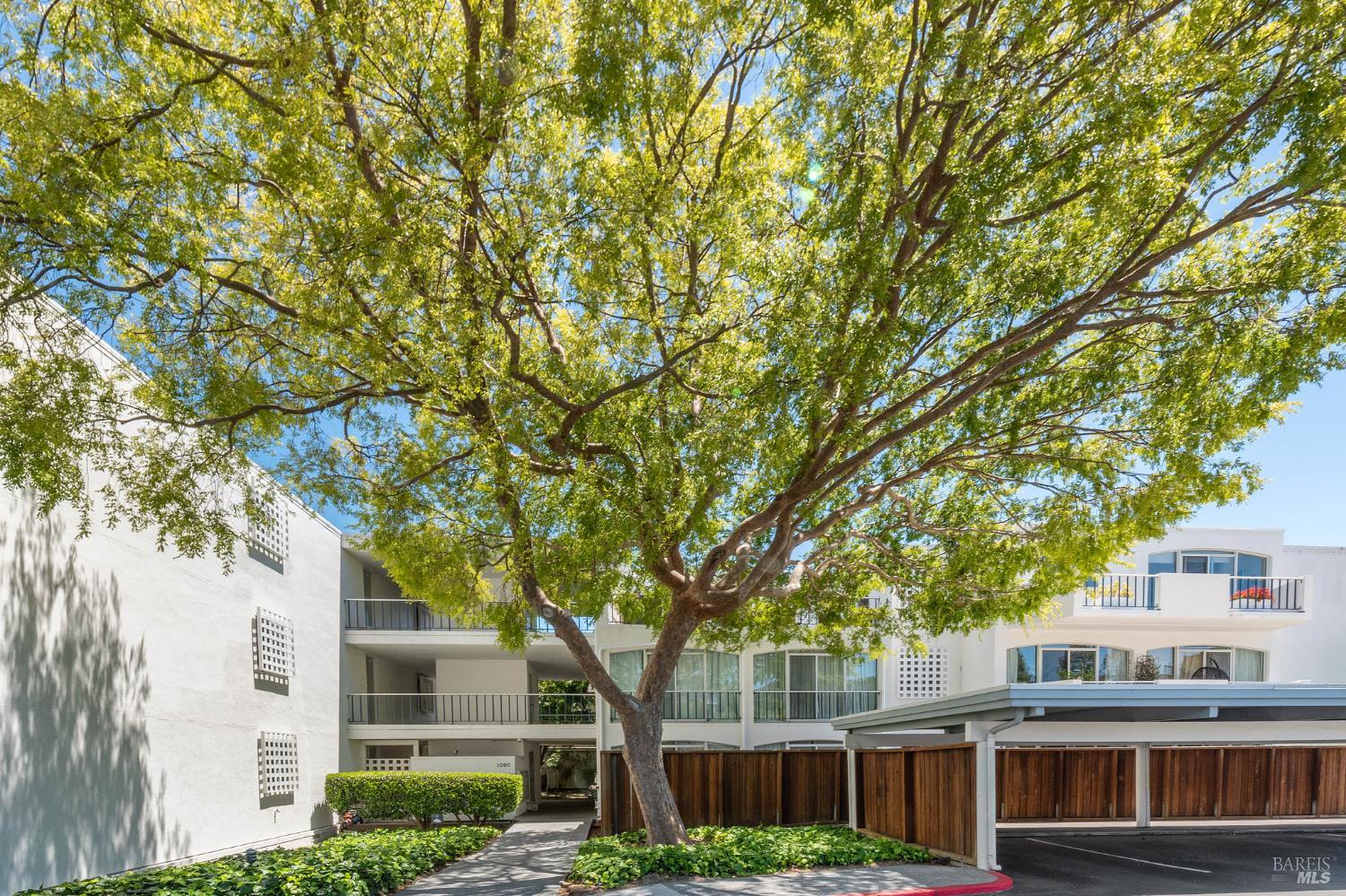 1106 Shelter Bay Avenue Mill Valley CA 94941