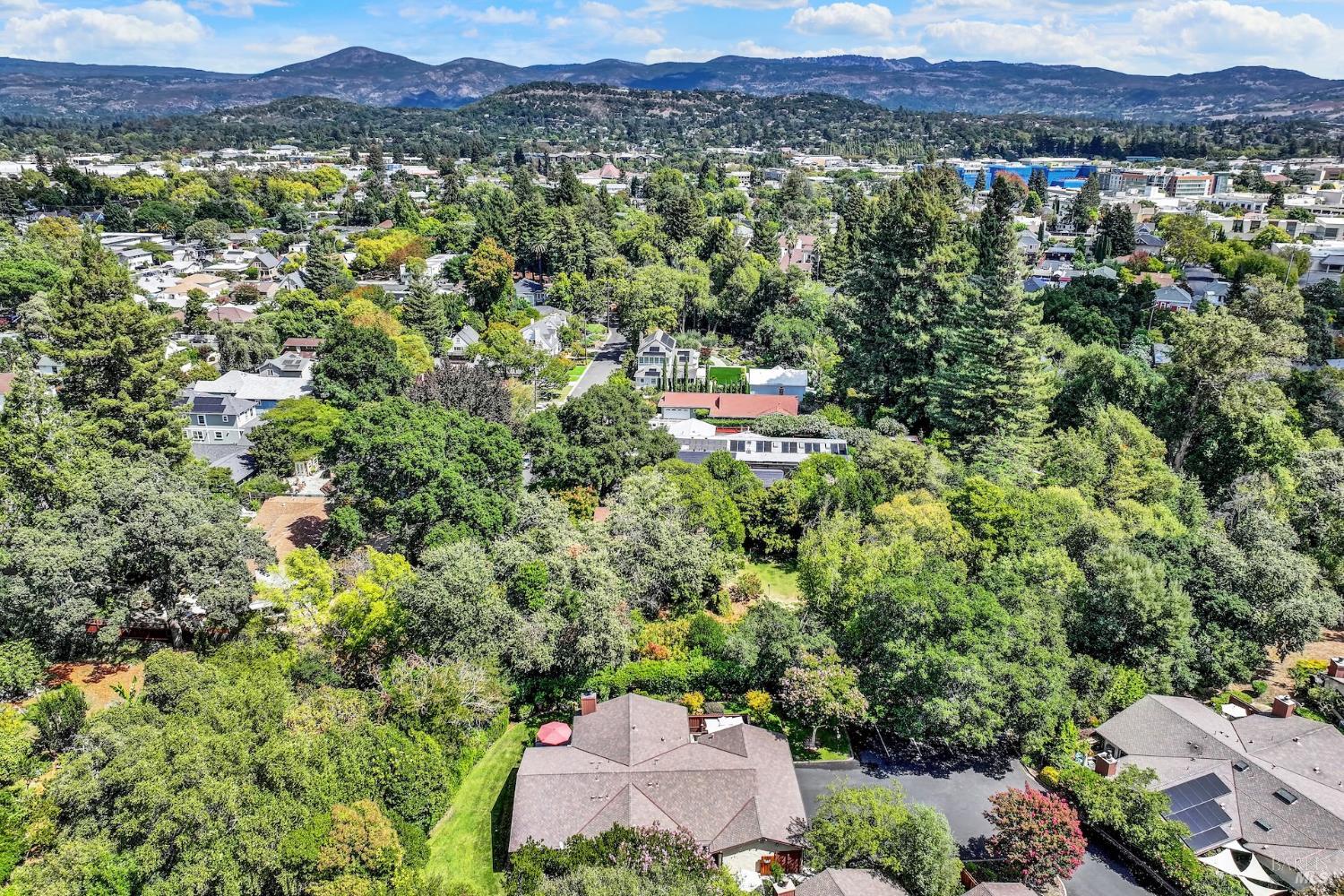 2144 Clay Street Napa CA 94559