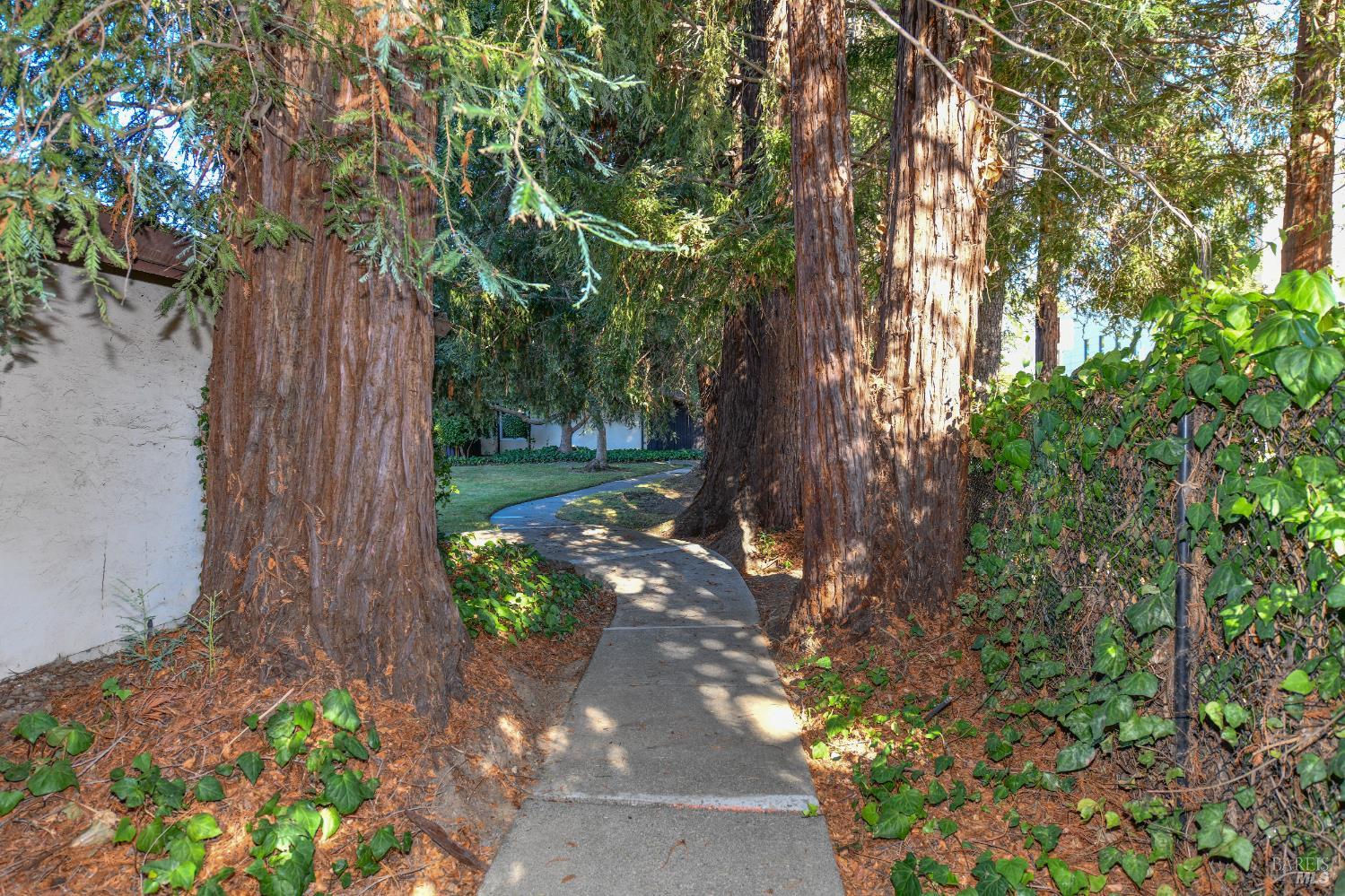 3464 Willis Drive Napa CA 94558