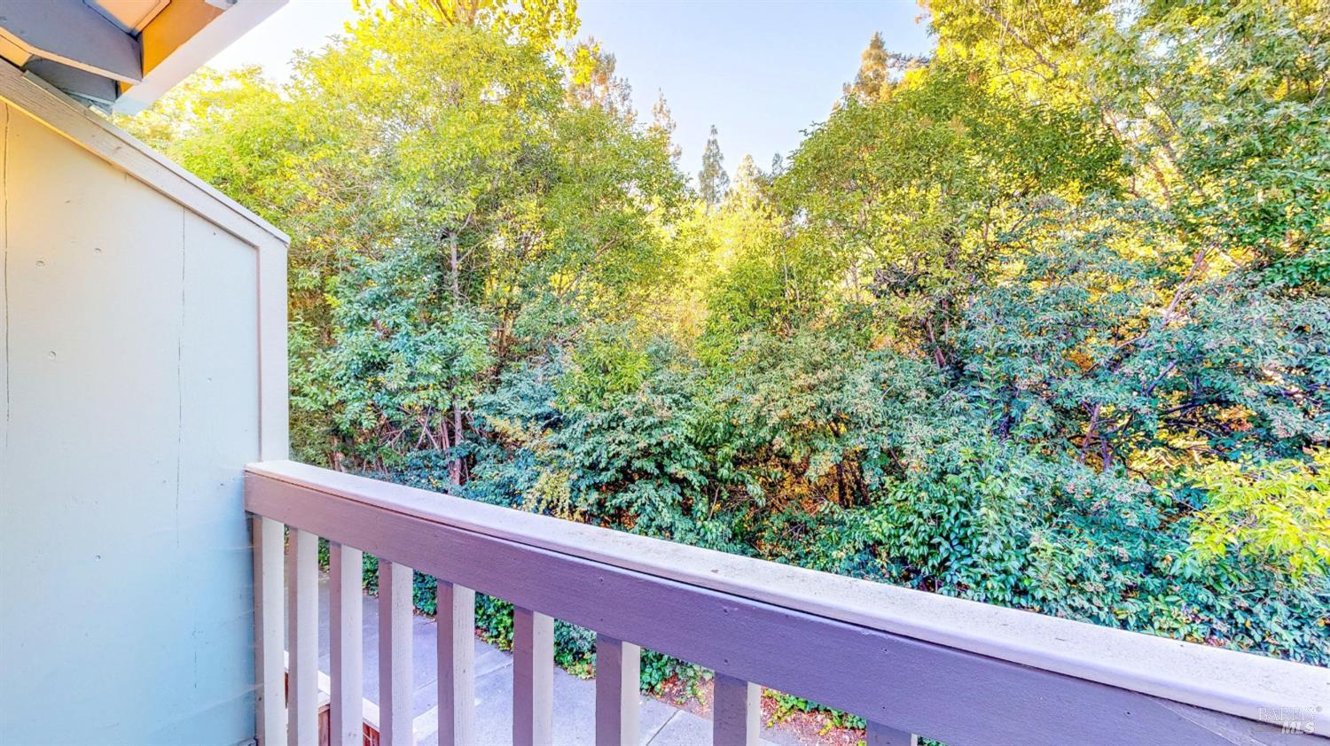 718 Racquet Club Circle Rohnert Park CA 94928